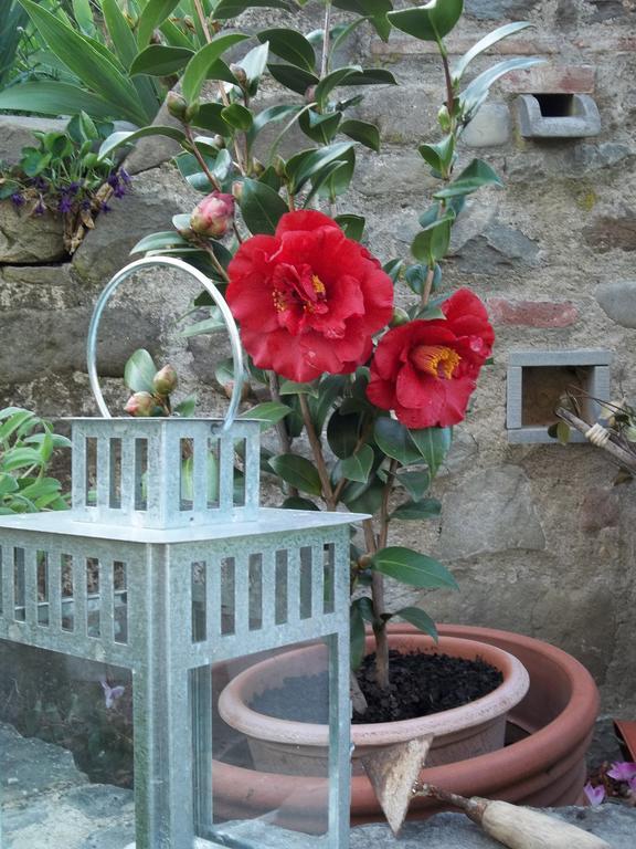 Apartmán Il Campano Collodi Exteriér fotografie